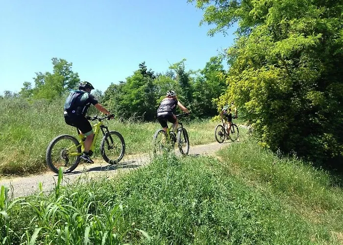 לינה וארוחת בוקר Prestige *luxury &